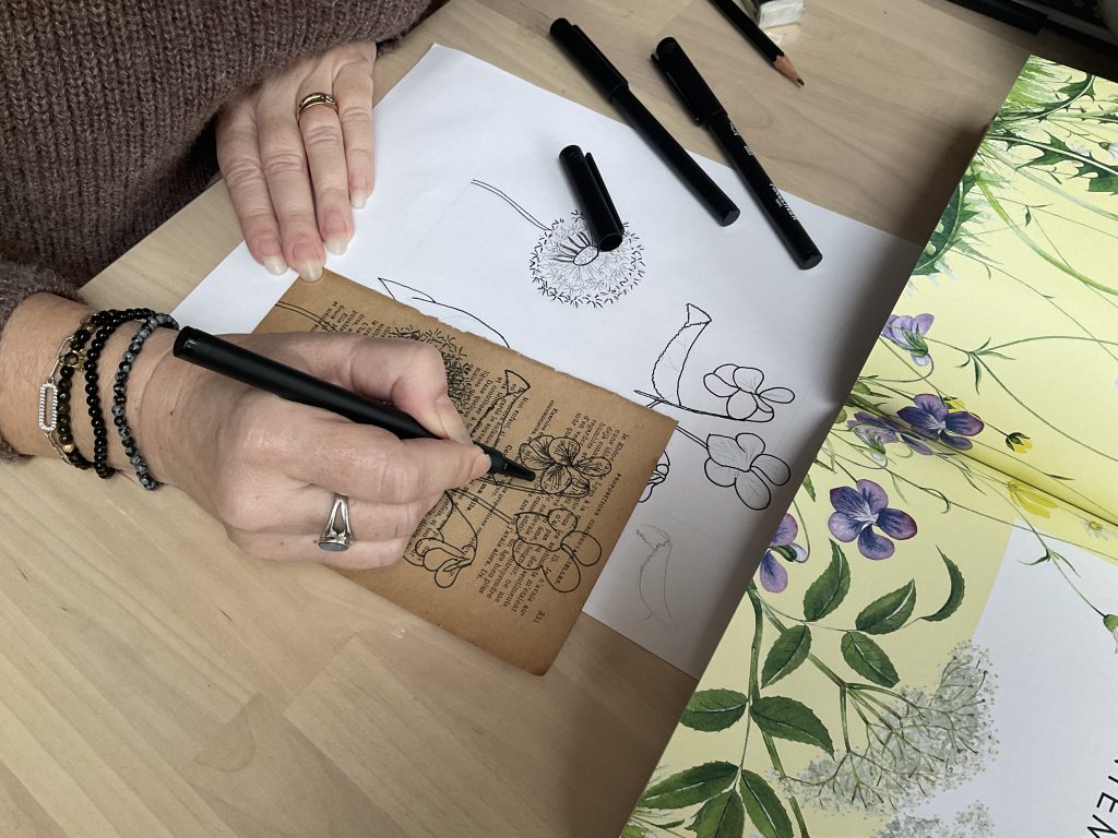 personne dessinant une planche de dessin naturaliste
